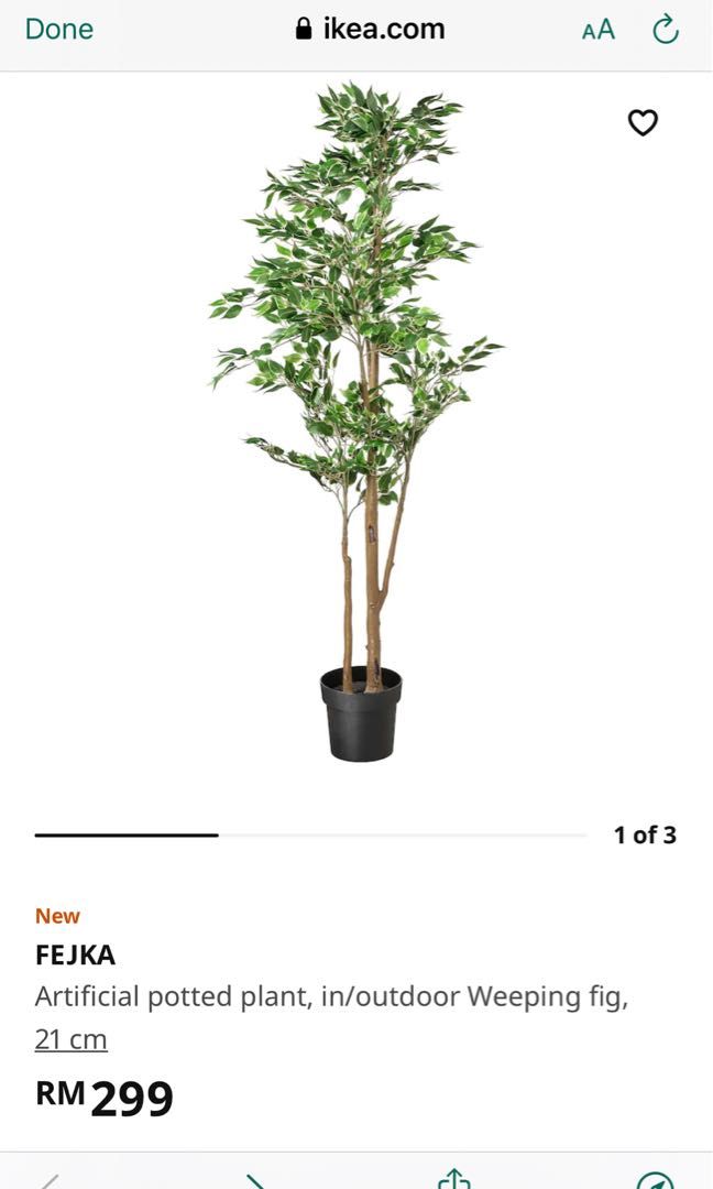 Ikea New FEJKA Artificial potted plant, in/outdoor Weeping fig, 21 cm