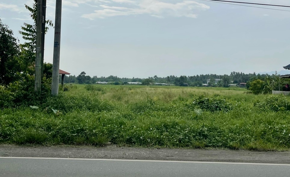 Regalado Avenue Commercial Corner Lot for Sale, Property, For Sale