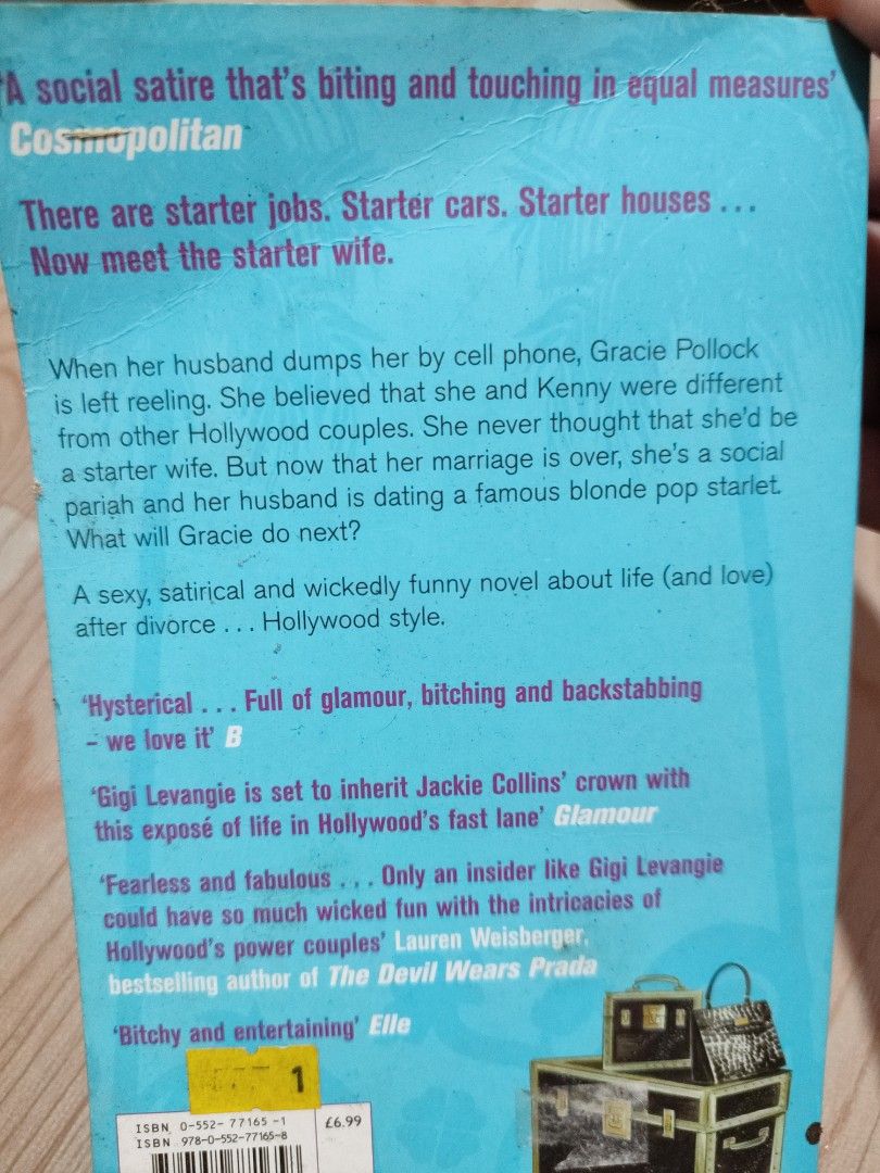 The Starter Wife, Hobbies & Toys, Books & Magazines, Fiction & Non