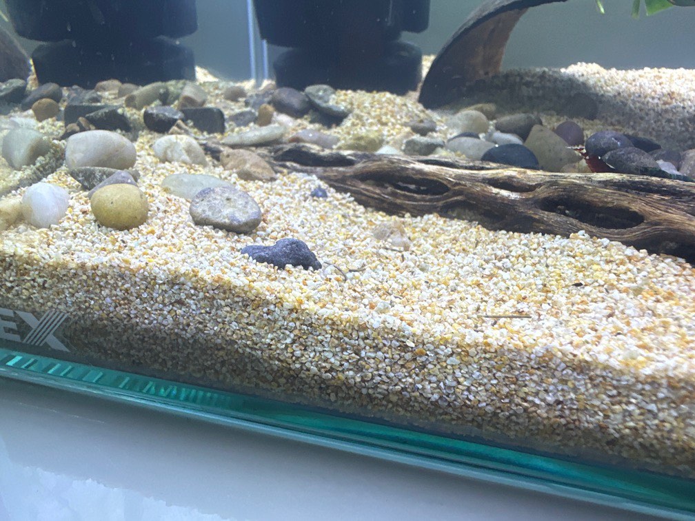 aquarium sand, Pet Supplies, Homes & Other Pet Accessories on Carousell