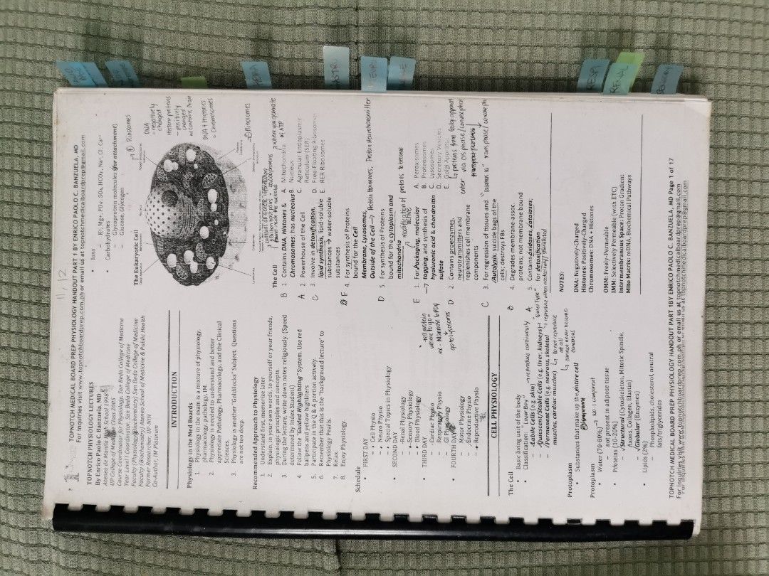 TAKE ALL! TOPNOTCH MEDICAL BOARD HANDOUT REVIEWER, Hobbies & Toys