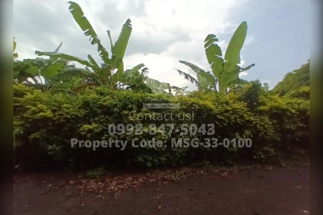 MSG330100 FORECLOSED Residential Lot in Laguna Hills Subd., Brgy