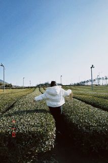 (Category: ) located in . Submitted by milopingpong (Listing ID 1209966455, Image 1). Description: .