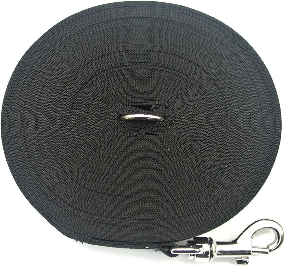 30m dog lead sales