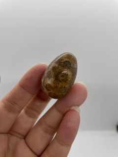 珊瑚玉 蛋 33m+64177955578626110