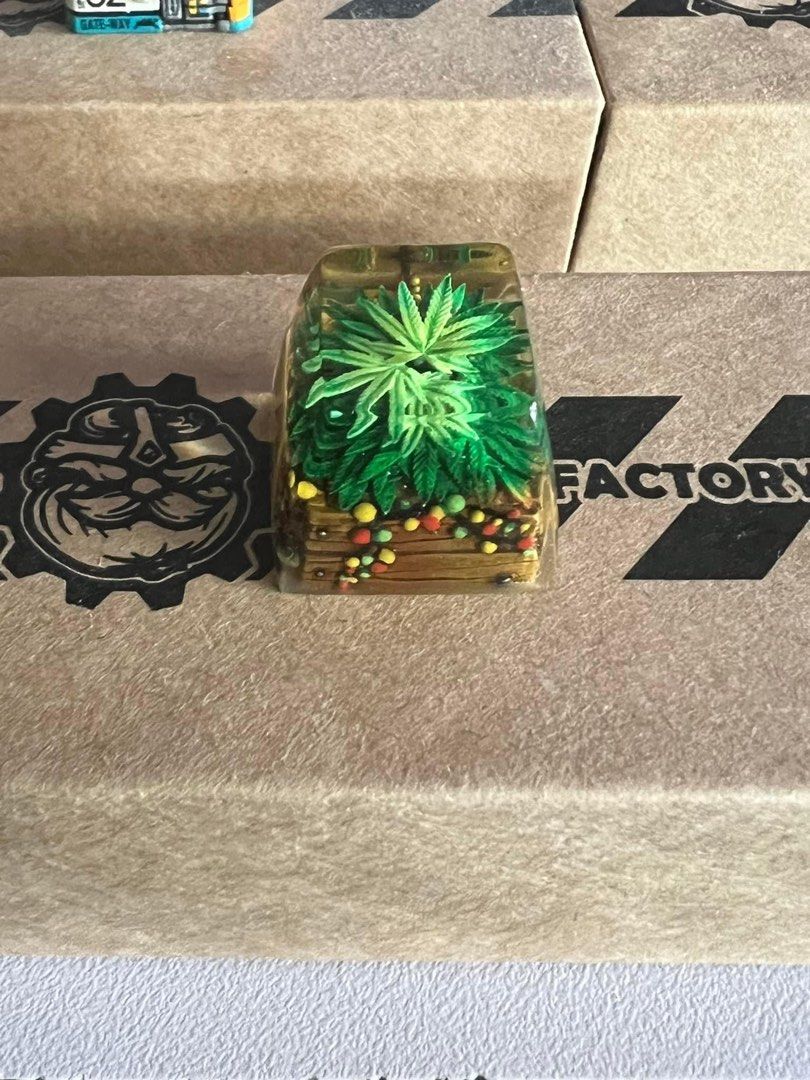 Artisan Keycap - Dwarf Factory Terrarium v2 Rasta Jardin, Computers ...