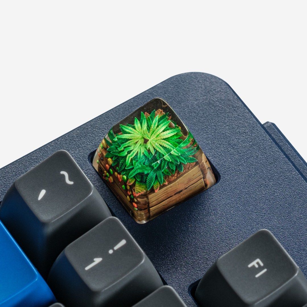 Artisan Keycap Dwarf Factory Terrarium v2 Rasta Jardin, Computers