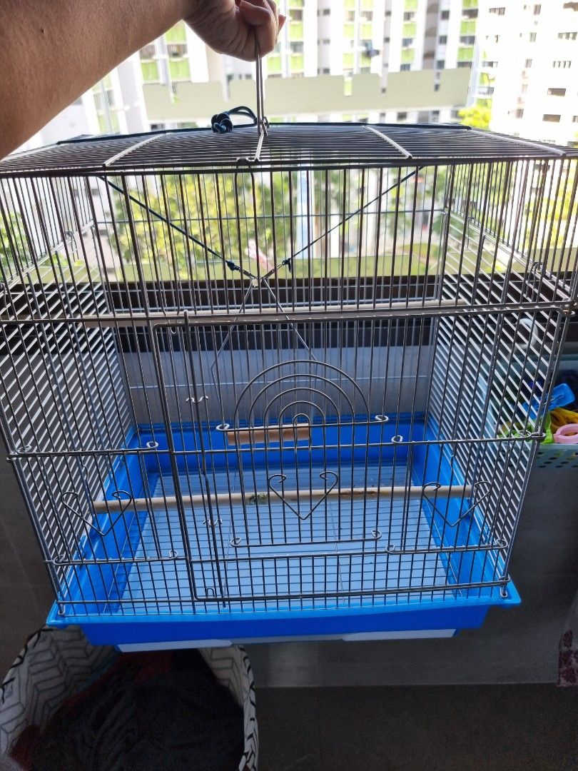 Bird cage for sale, Pet Supplies, Homes & Other Pet Accessories on