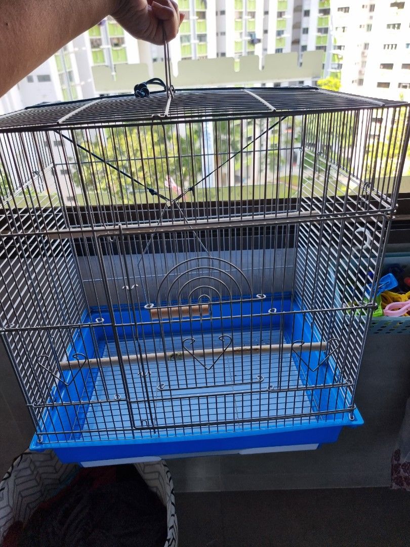 Bird cage for sale, Pet Supplies, Homes & Other Pet Accessories on