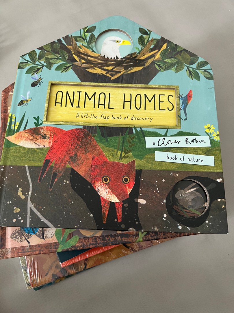 Board Book: Animal Homes, Hobbies & Toys, Books & Magazines, Children's Books on Carousell Board Book: Animal Homes, Hobbies & Toys, Books & Magazines, Children's Books on Carousell