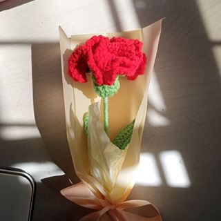 Carnation Crochet Bouquet