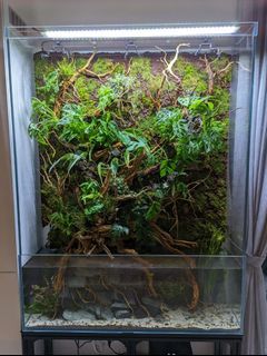 Crystal Clear Custom Aquariums
