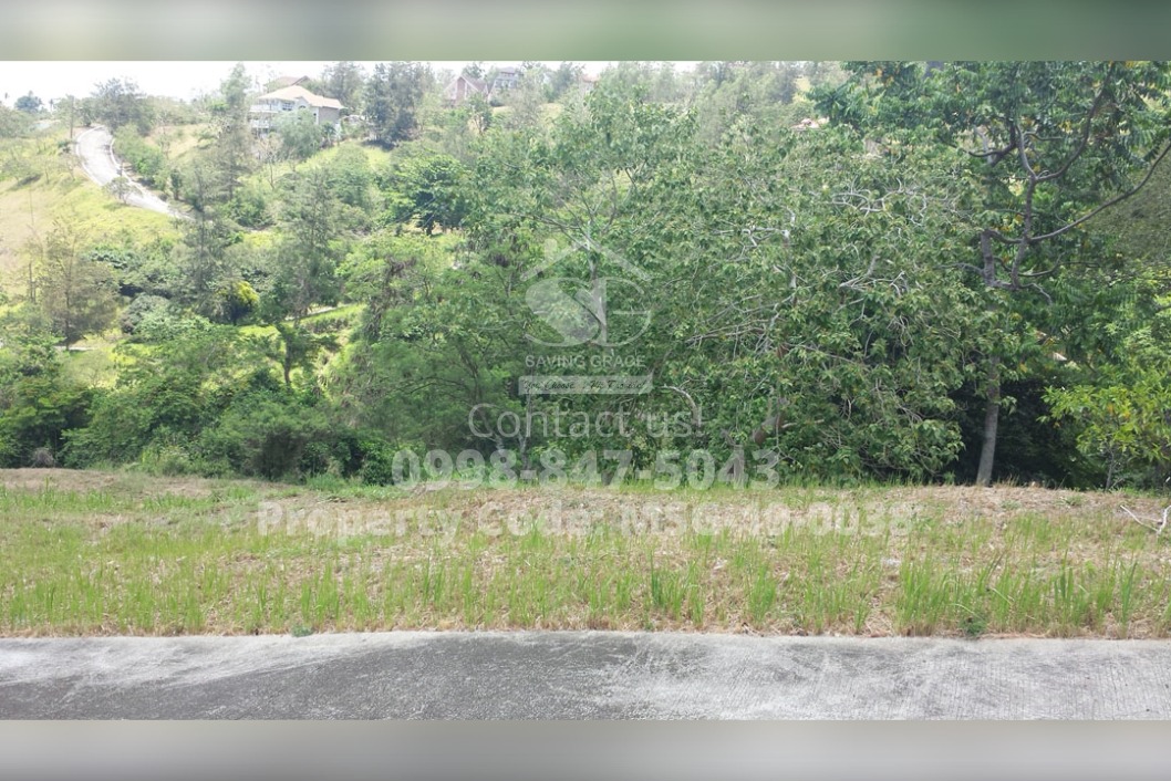MSG190038 Canyon Woods Residential Resort, Brgy. San Gabriel, Laurel, Batangas FORECLOSED