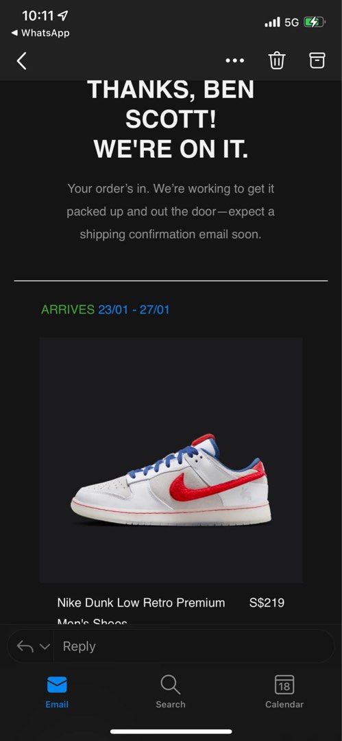 Nike dunk Low year of the rabbit