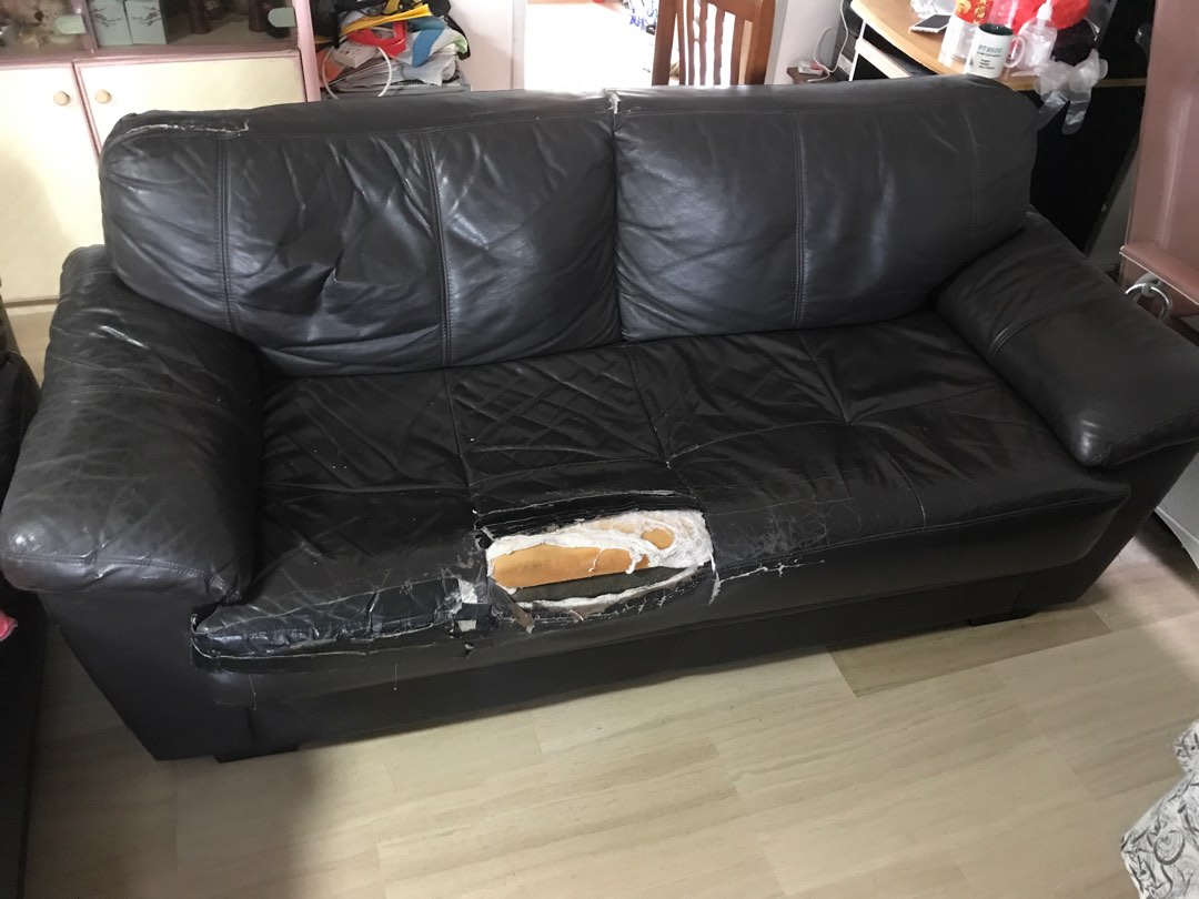 Old sofa to give away, Furniture & Home Living, Furniture, Sofas on Carousell