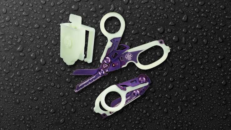 Raptor Purple Glow In The Dark