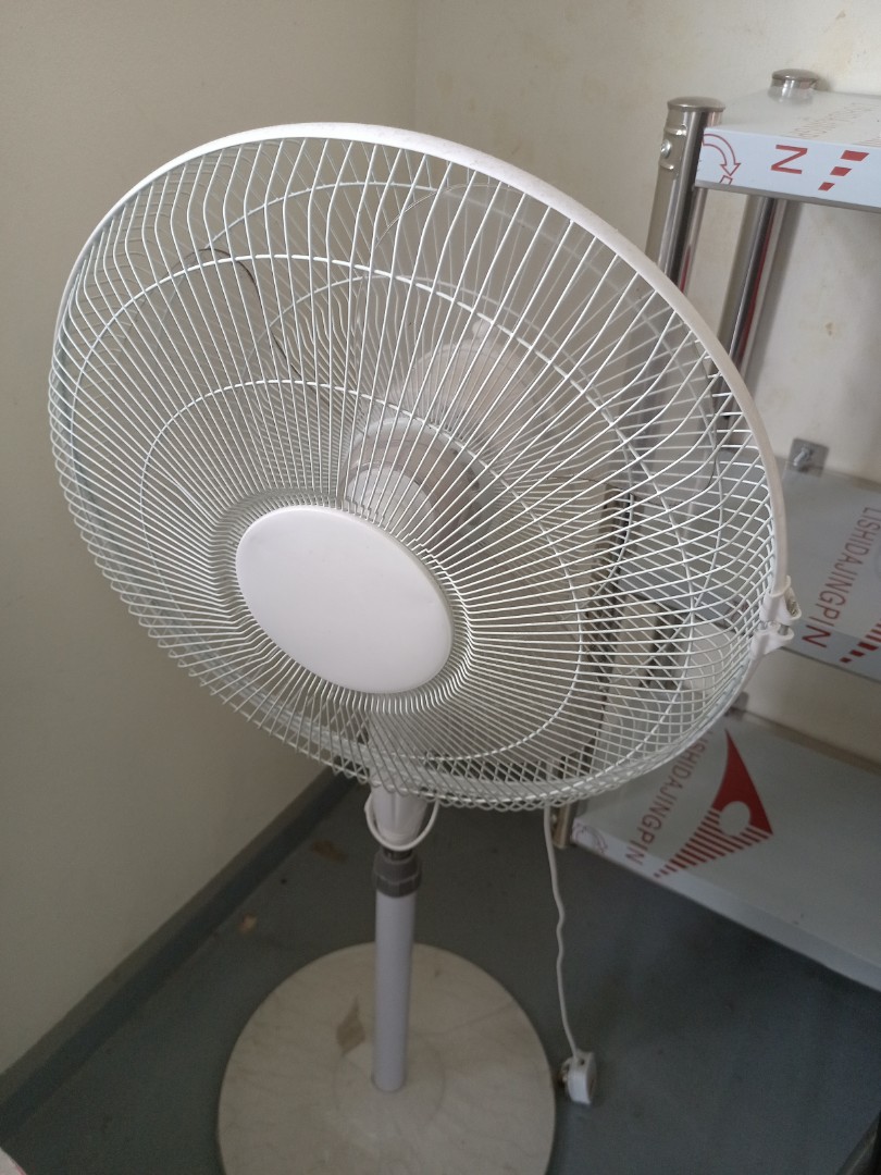 Standing Fan, Furniture & Home Living, Lighting & Fans, Fans on Carousell