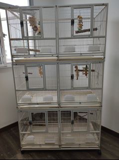 (Category: ) located in . Submitted by rabbitslover (Listing ID 1210176167, Image 1). Description: .