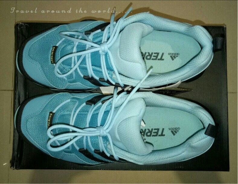 adidas TERREX AX2R GTX W