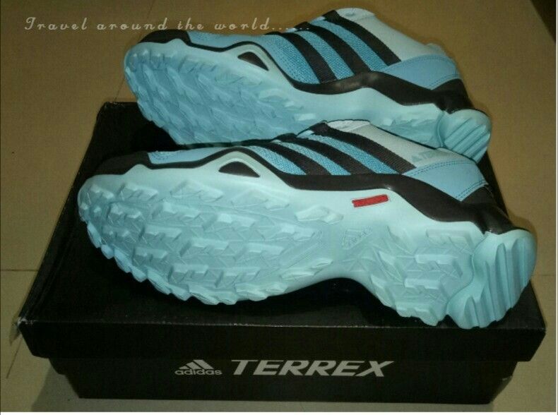 adidas TERREX AX2R GTX W