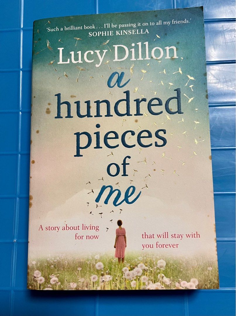 A Hundred Pieces of Me by Lucy Dillon