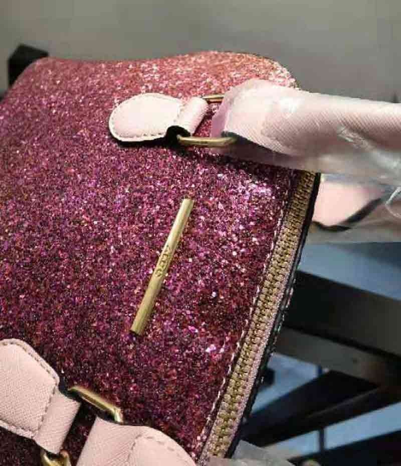 Aldo outlet glitter purse