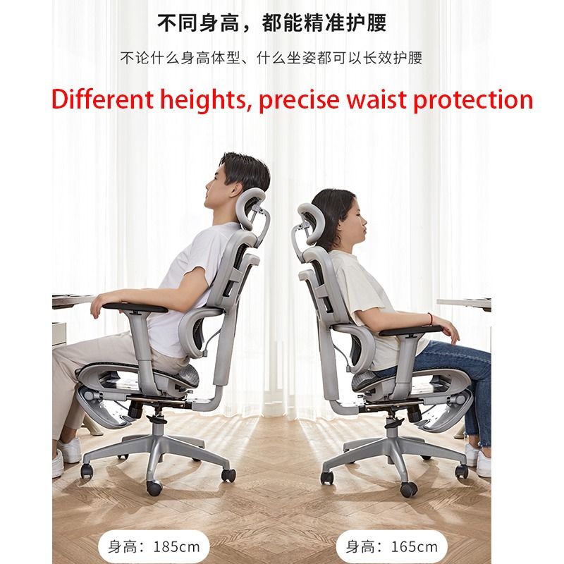Bearing capacity 150kg Ergonomic chair Computer Chair Furniture