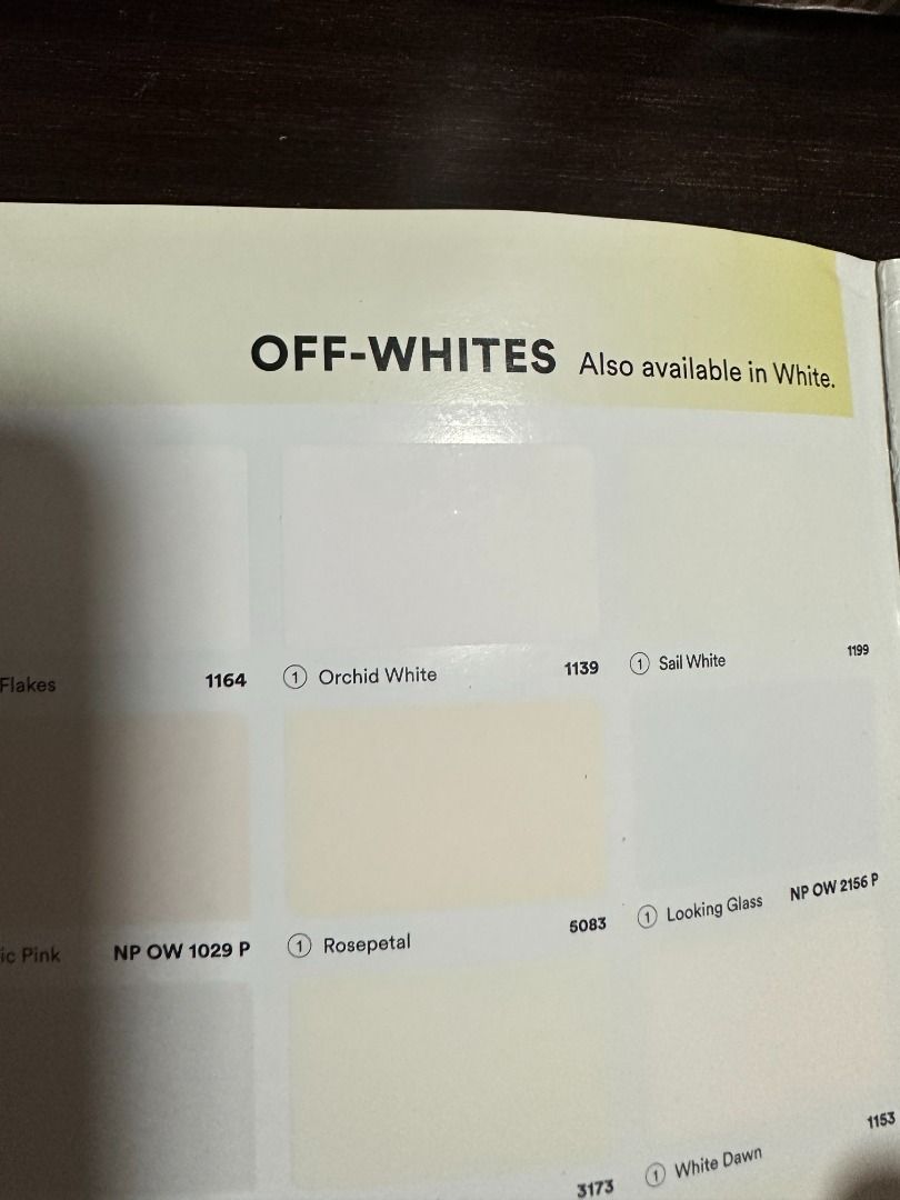 Brand New Nipon Paint Orchid White (Premium Easy Wash), Everything