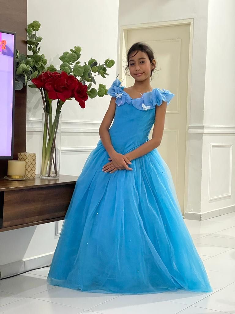 Disney princess sales birthday dress