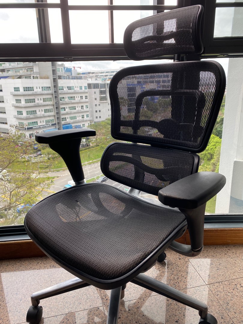 Ergohuman Chair V2 Furniture Home Living Furniture Chairs on