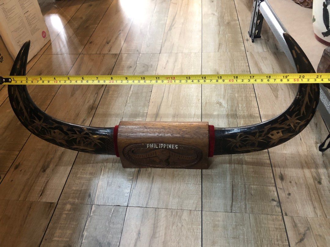For Sale Carabao Horn, Hobbies & Toys, Memorabilia & Collectibles, Vintage Collectibles on Carousell