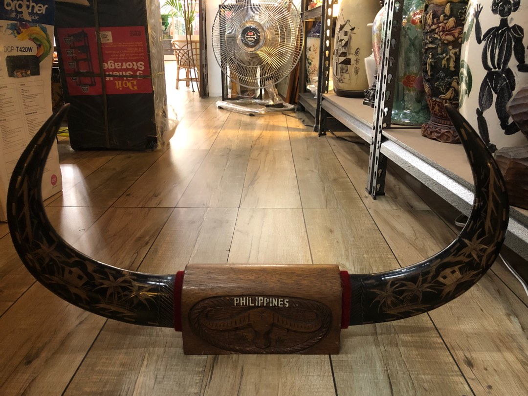 For Sale Carabao Horn, Hobbies & Toys, Memorabilia & Collectibles, Vintage Collectibles on Carousell