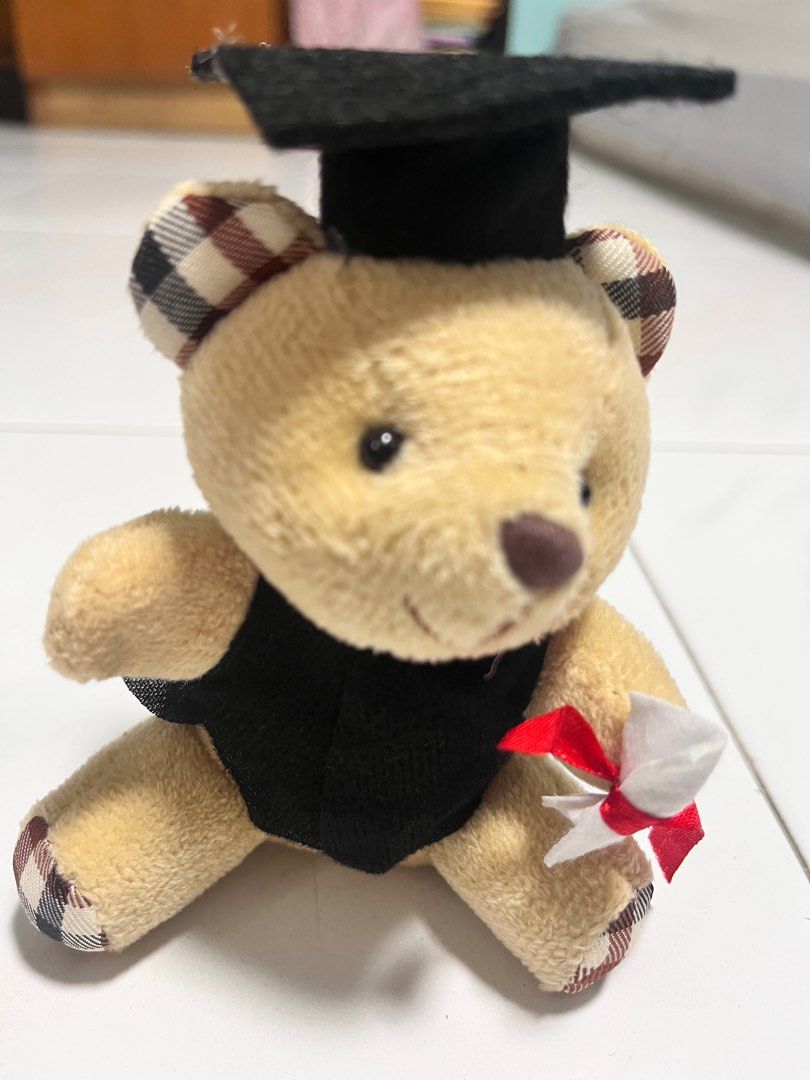 Graduation bear cotton flower bouquet, Hobbies & Toys, Stationery