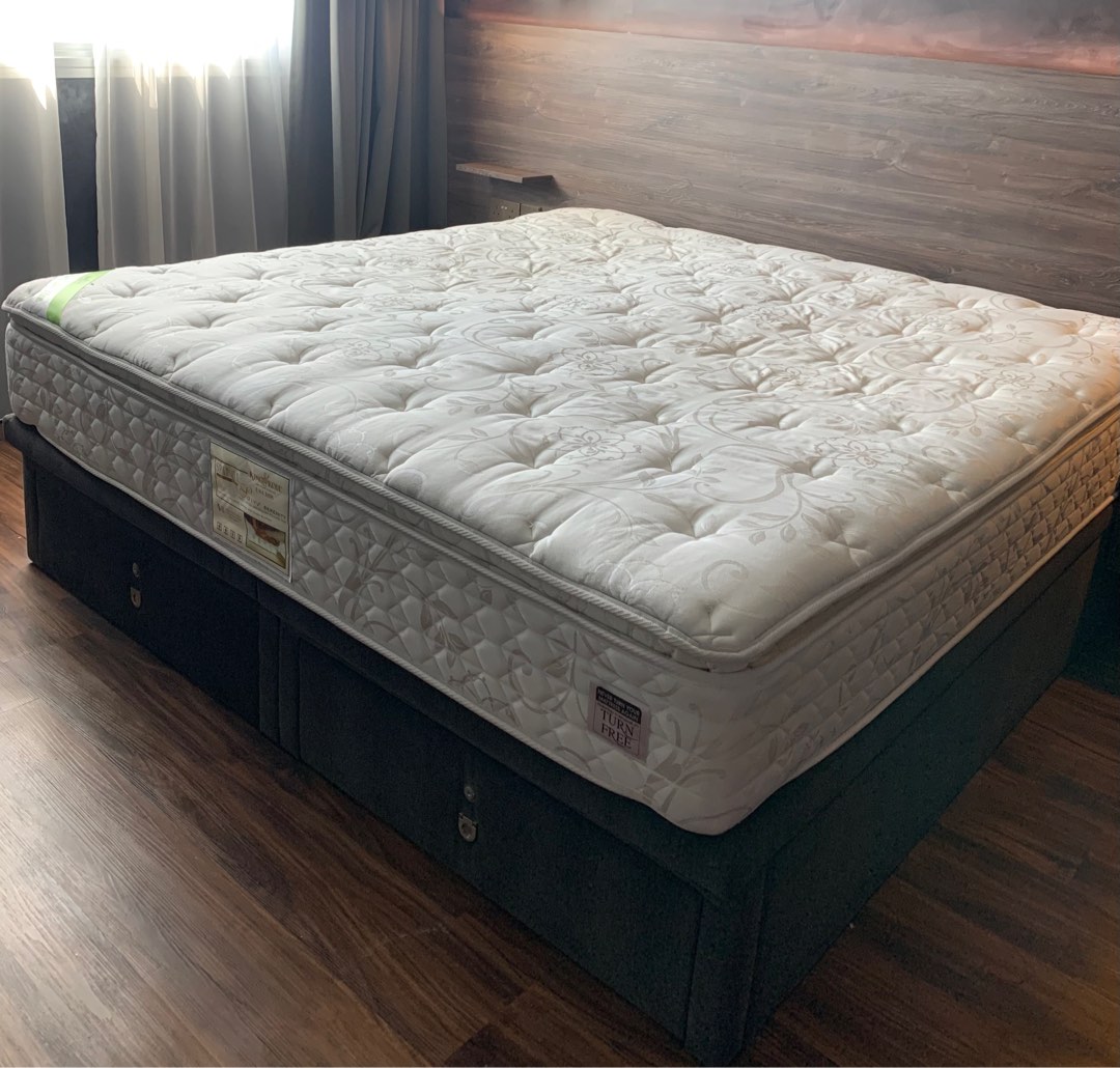 King Koil Serenity, Furniture & Home Living, Furniture, Bed Frames