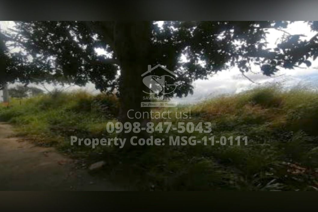 MSG110111 FORECLOSED Industrial Lot in Daiichi Industrial Park