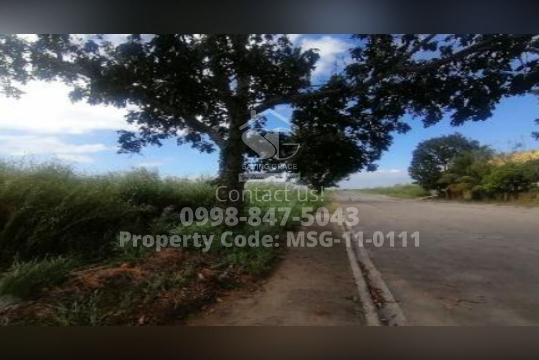 MSG110111 FORECLOSED Industrial Lot in Daiichi Industrial Park