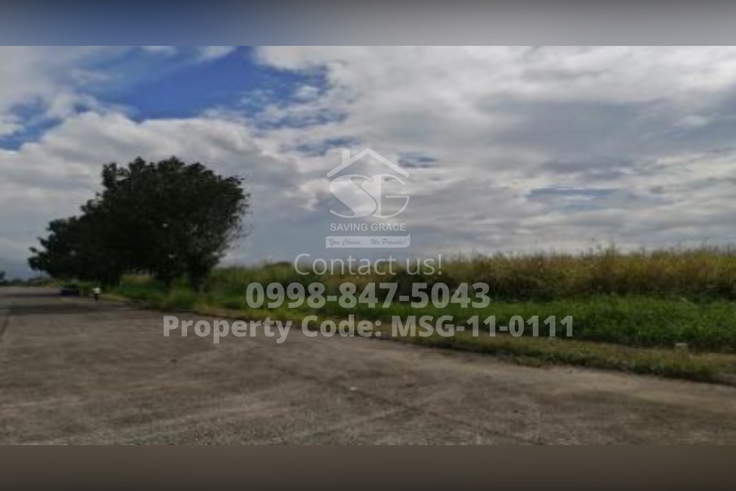 MSG110111 FORECLOSED Industrial Lot in Daiichi Industrial Park