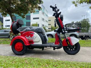 Ebike 电动车 Collection item 1