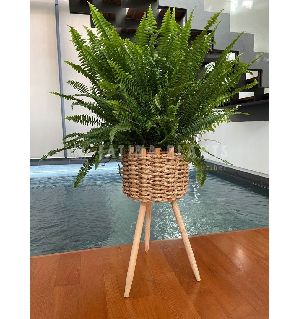 Seagrass Basket Plant Stand with Removable Legs 'F', Furniture & Home