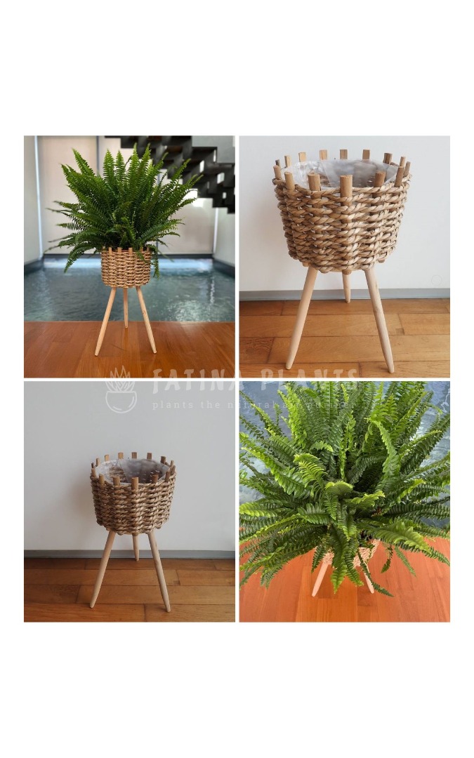 Seagrass Basket Plant Stand with Removable Legs 'F', Furniture & Home