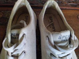 Sneakers classic white