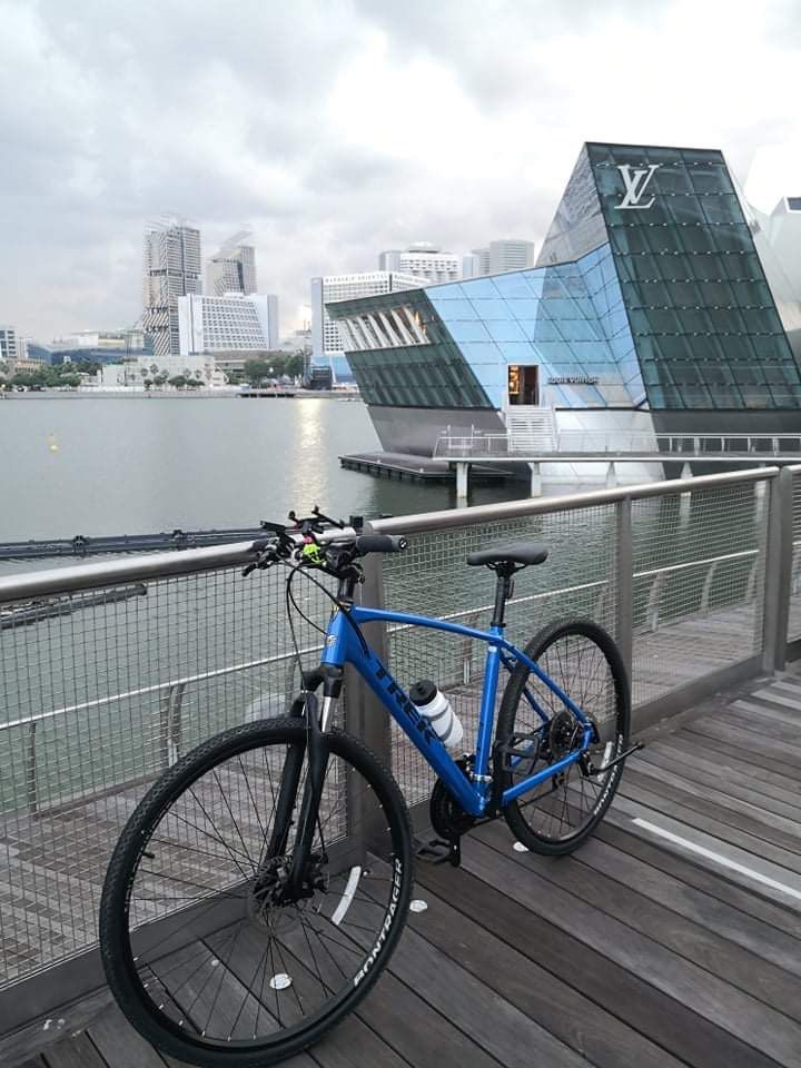 Trek dual discount sport 7