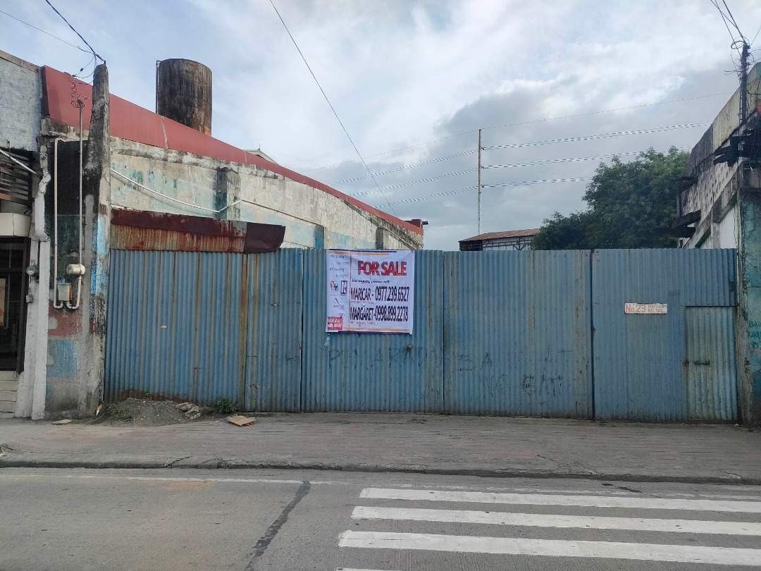 Vacant Lot along Maysan Road Valenzuela City for Sale, Property, For