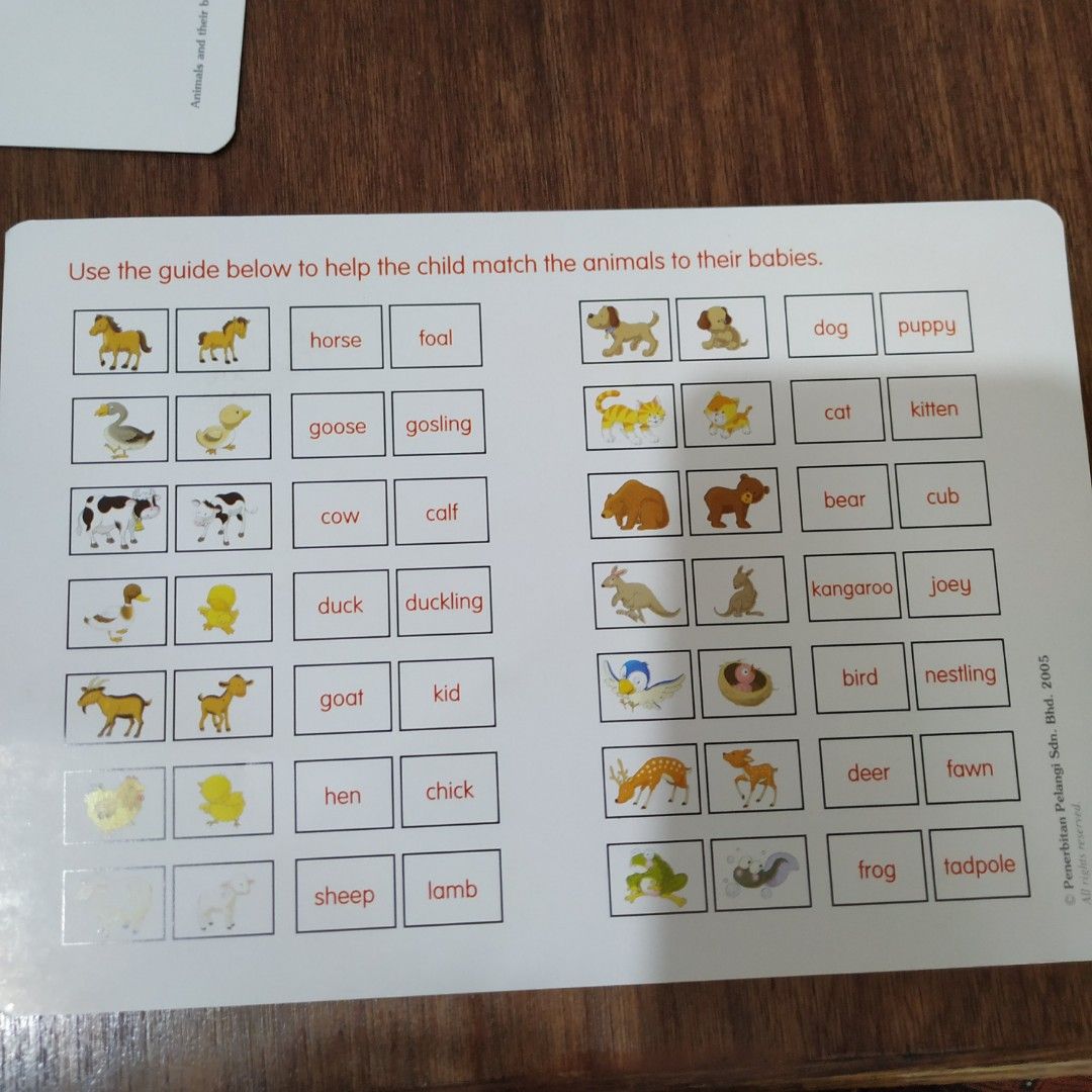 Big Flashcards Animals And Their Babies Books Stationery Children s big-flashcards-animals-and-their-babies-books-stationery-children-s