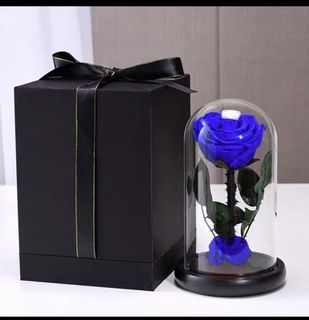 Blue preserved rose dome