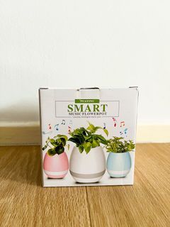 (BN) Smart Music Flowerpot - Blue