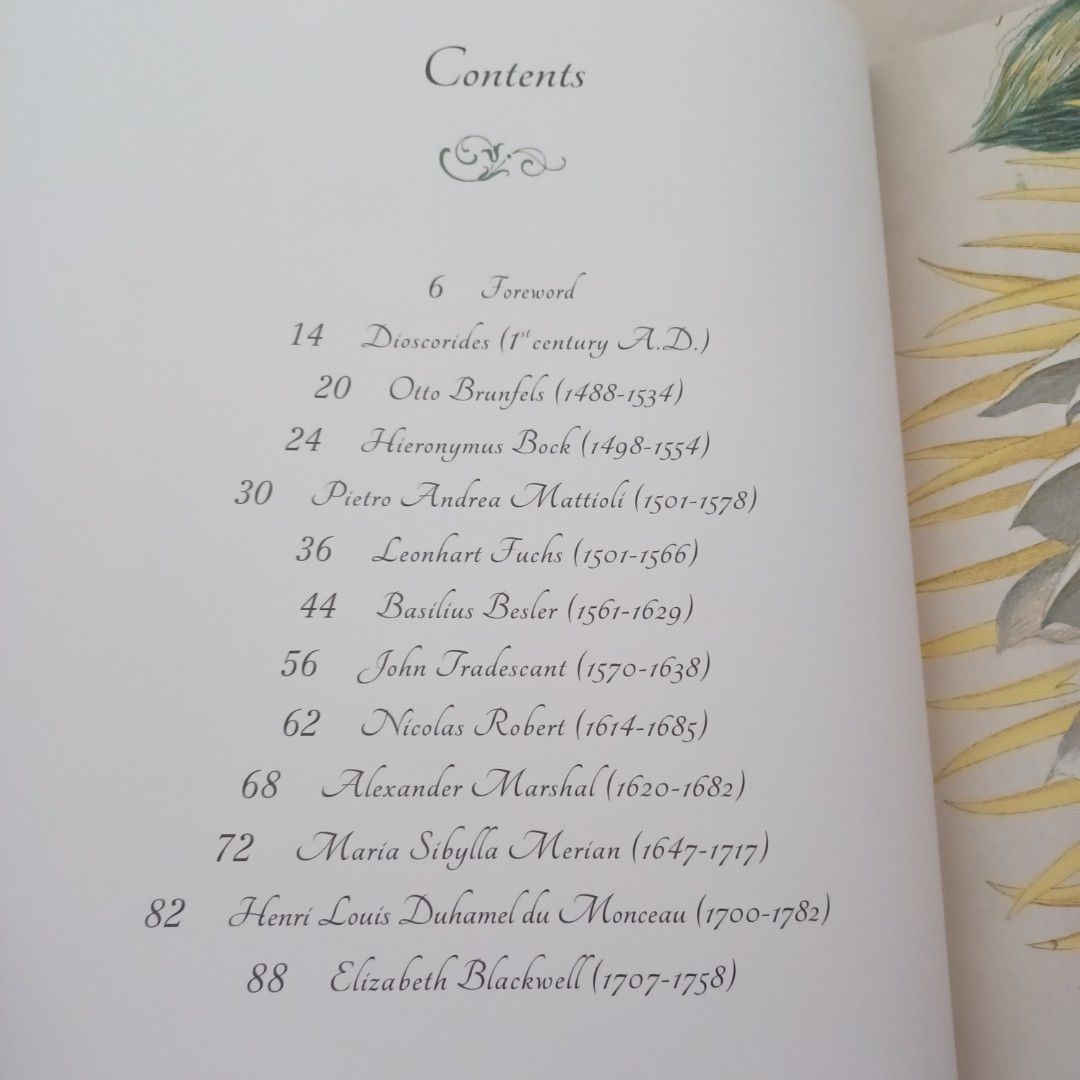 BOTANICAL ART FROM RENAISSANCE HERBARIA TO THE 19TH CENTURY /ANGLAIS