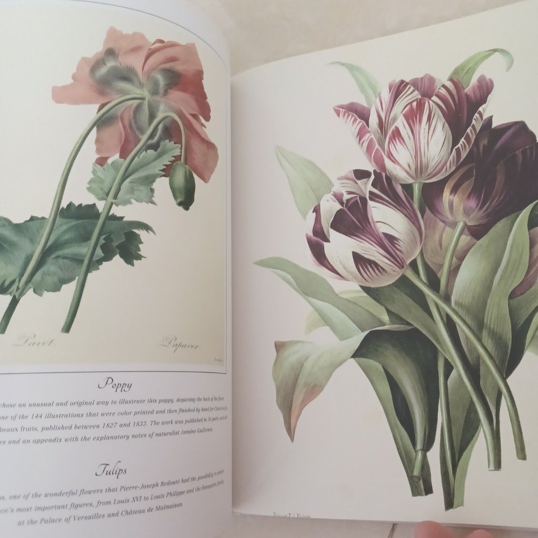 BOTANICAL ART FROM RENAISSANCE HERBARIA TO THE 19TH CENTURY /ANGLAIS