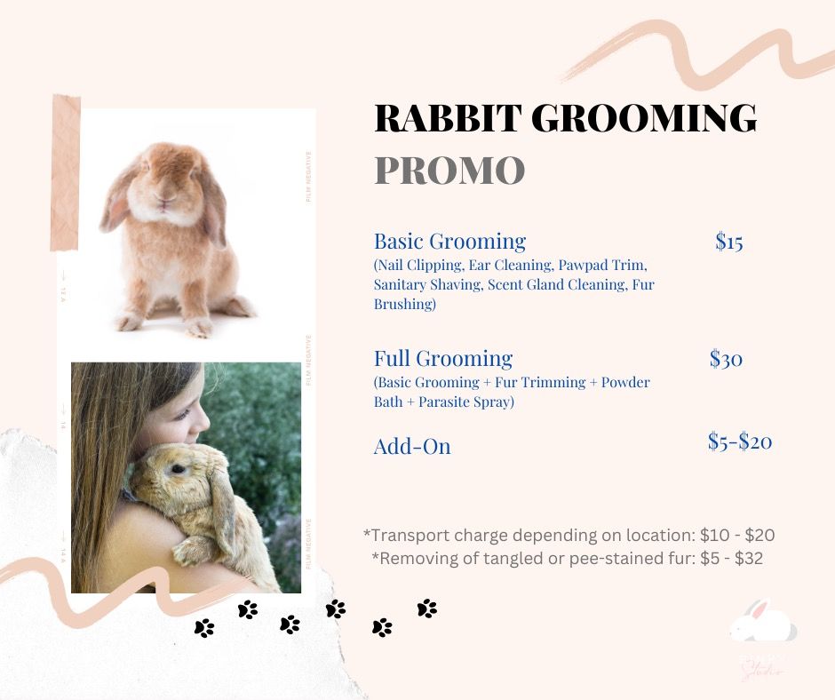 Mobile rabbit grooming clearance