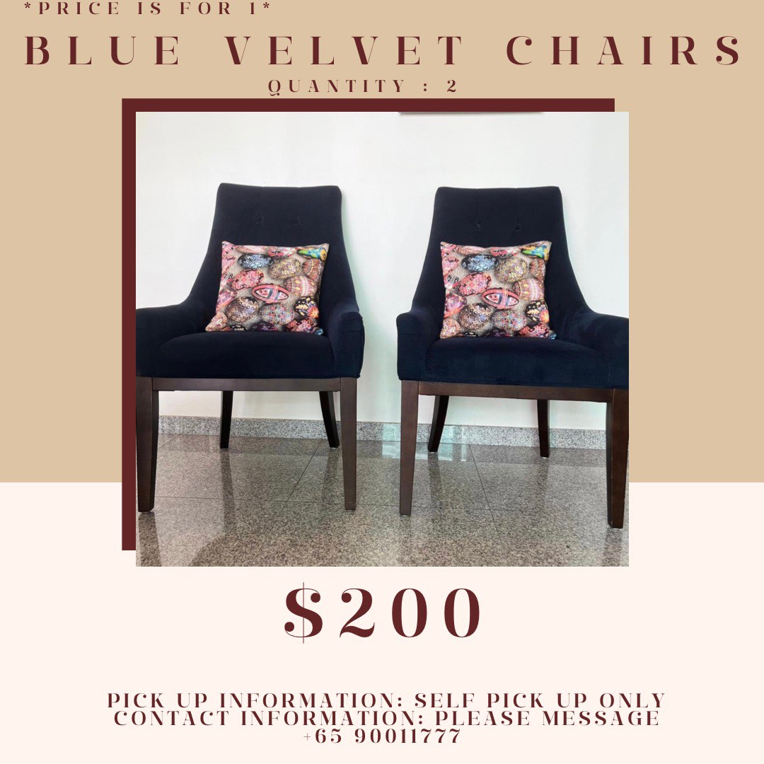 Dark Blue Velvet Chairs, Furniture & Home Living, Furniture, Chairs on
